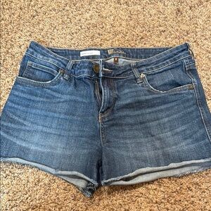 Kut from the Kloth Gidget Fret Short